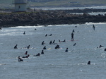 20140705 Coney beach, Porthcawl